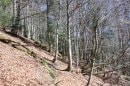 Montée au Ballon (sentier balisé hors GR5)